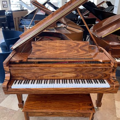 Used Steinway Pianos For Sale in Texas